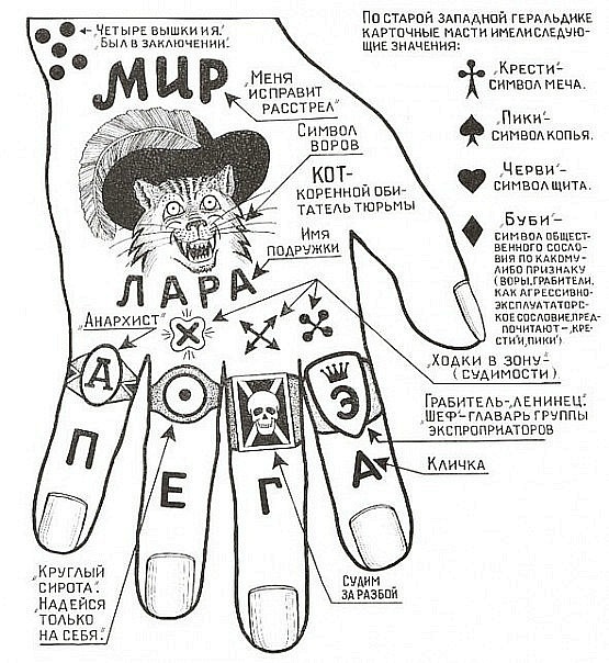 Девушки с татуировками. Одетые и не совсем.