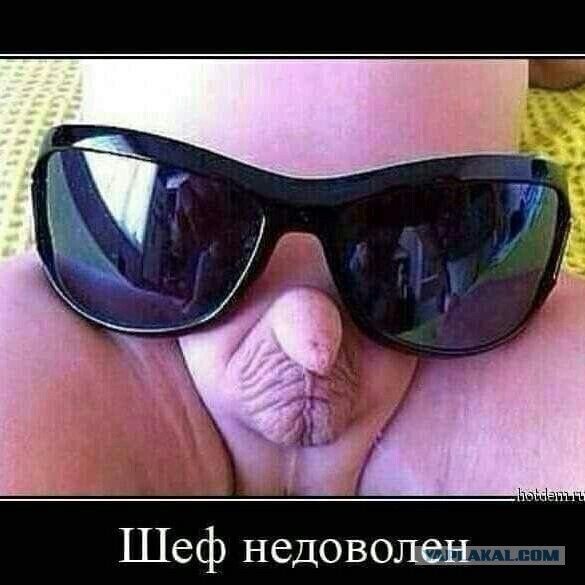 Чудики из социальных сетей