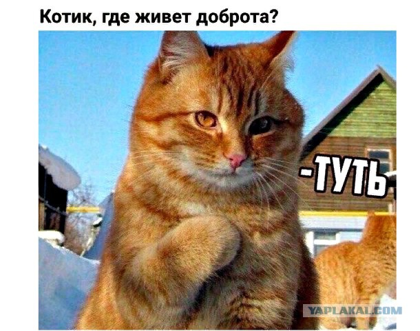 Я тоже хочу попробЫвать с картинками