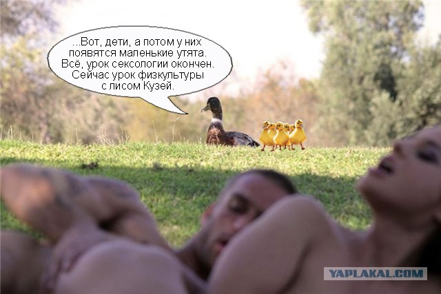 Фотожаба: Тут медвед не проходил?