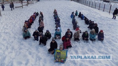 Зеленский попросил организовать переговоры с Путиным о Донбассе