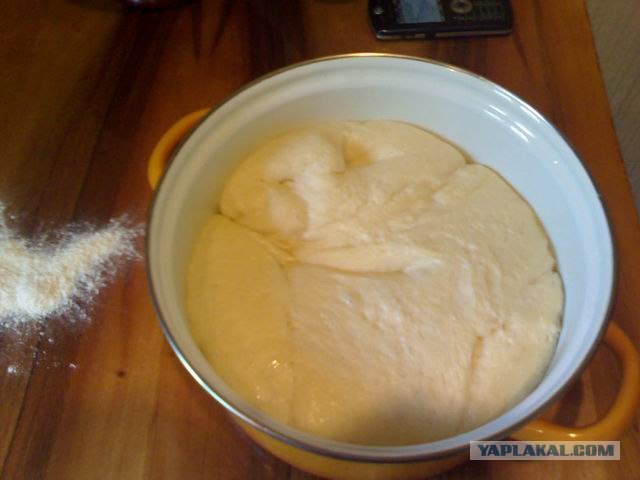 Все из рыбы!