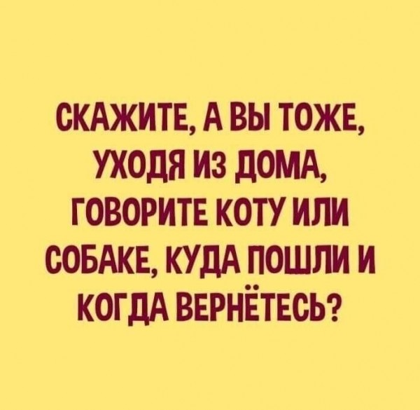 Картинки и мемы для настроения 03.06.2021