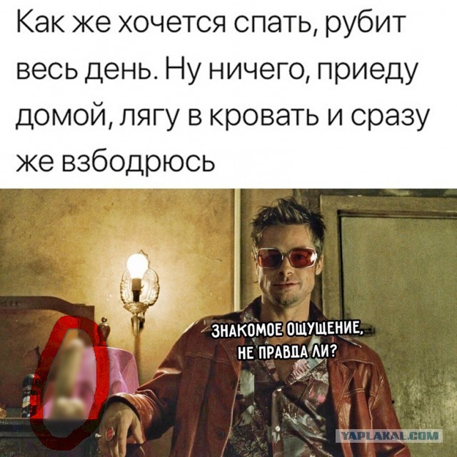 Весёлый полтишок 25.10