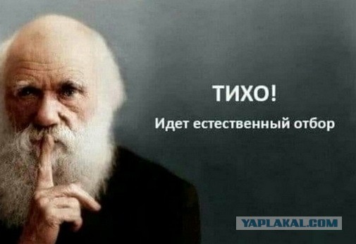 Не самый умный поступок для своего возраста...
