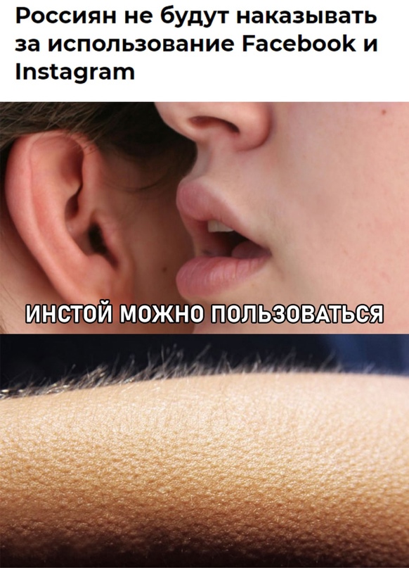 Весёлый полтишок 23.03.22