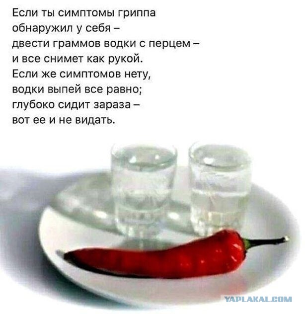 Так себе картинки 17.04.22