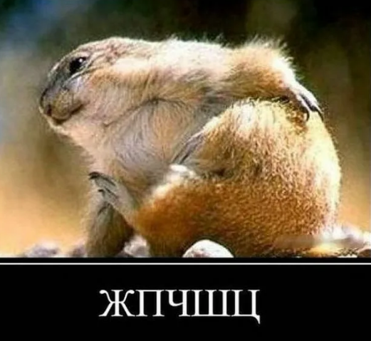 Есть ли на Япе нормальные женщины?