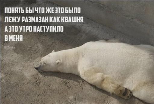 Пирожки