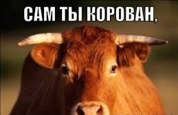Сомалиленд – как живёт крупнейшее непризнанное государство?