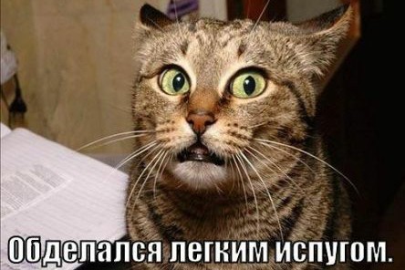 Жить ему оставалось...