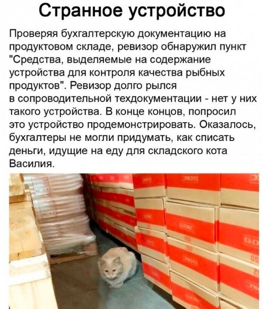 Так себе картинки 27.08.23