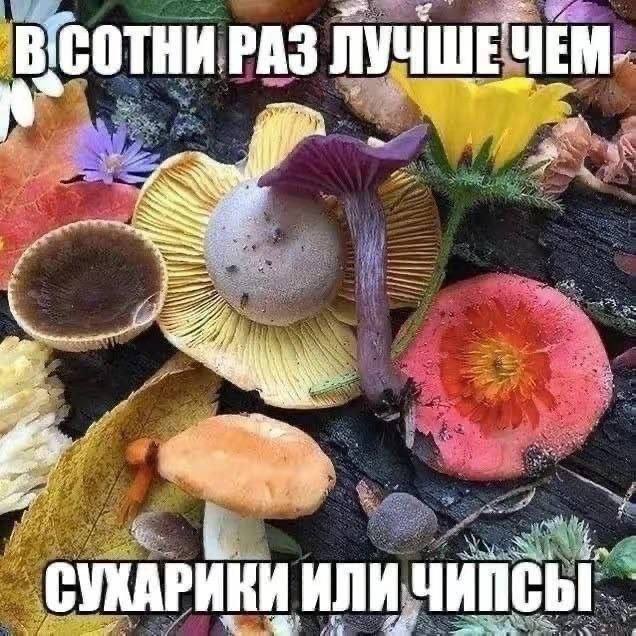 Деграднём?