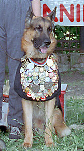 Ордена и медали за капитальный ремонт