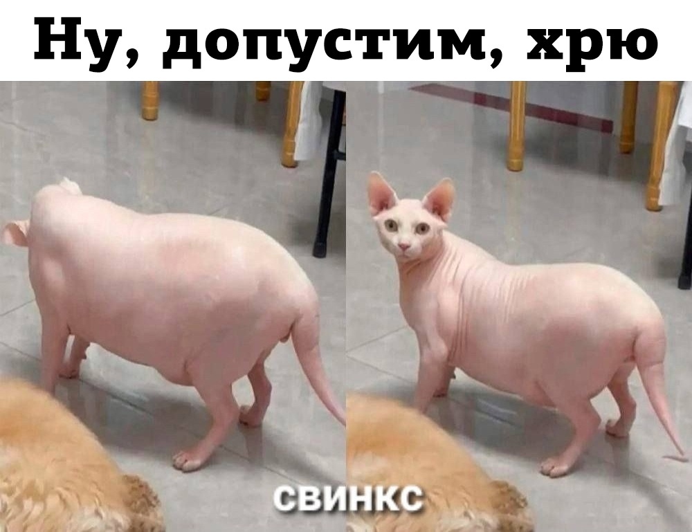 20237288.jpg