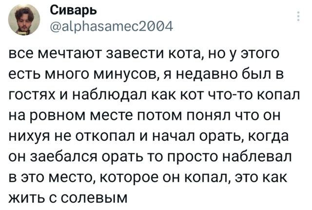 Могу себе позволить