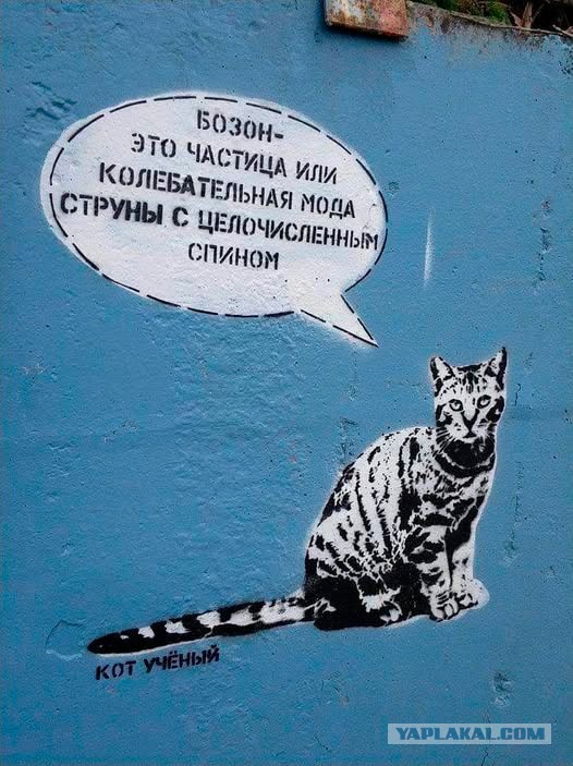 Так себе картинки 21.10.25