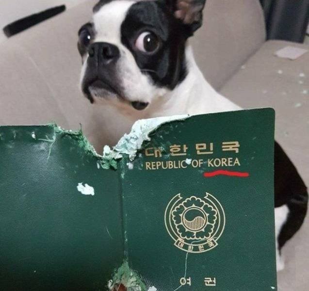 Картиночки, баянчики 21 апреля