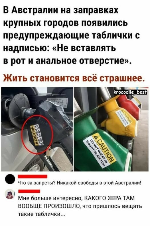 Картинки новые и старые, баяны и аккордеоны