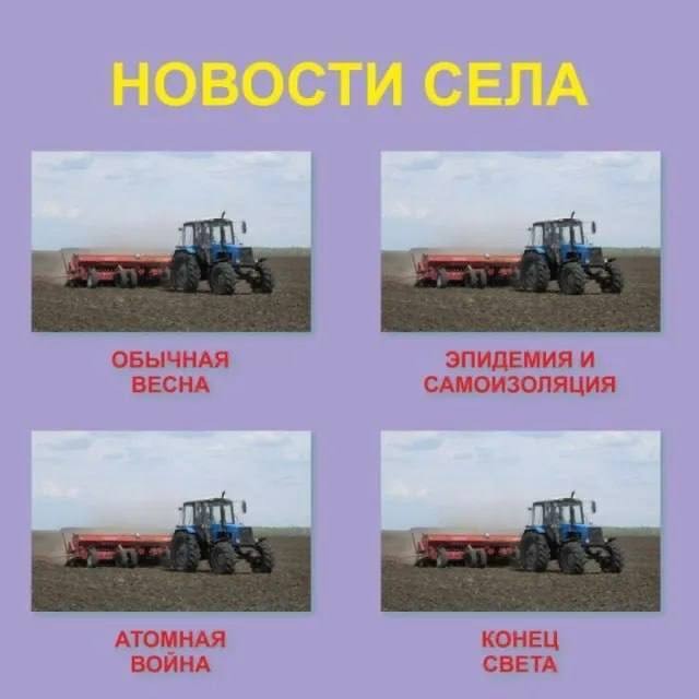 Картинки для деградации 242 (разной степени свежести)