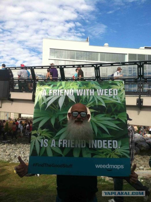 Сиэтл Hempfest 2013