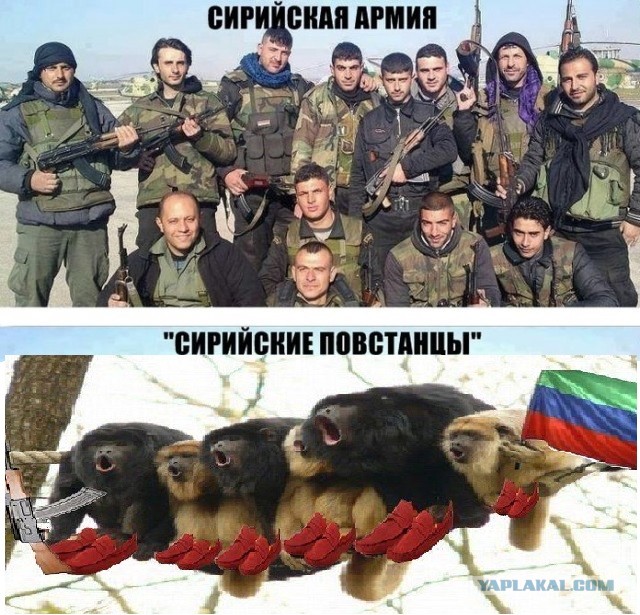Разница в воюющих (Сирия)