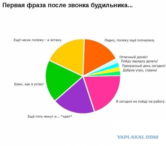 33 ироничных факта о нашей жизни в графиках
