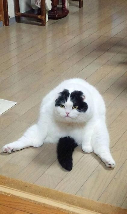 Немного позитива на пятницу