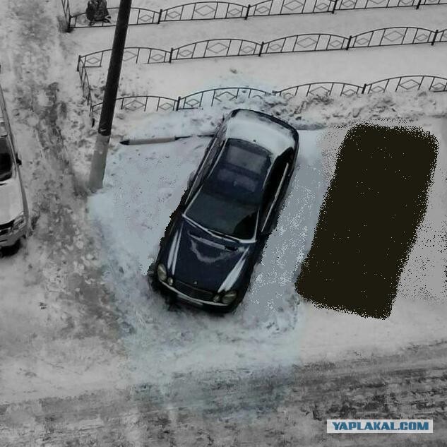 В нашем доме появился