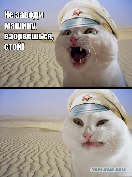 И тут-то я понял, что нас всех объединяет