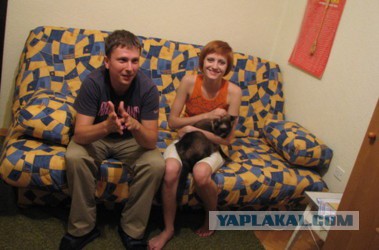 Шарий, признавайся!