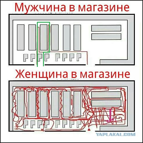 Прикольные картиночки