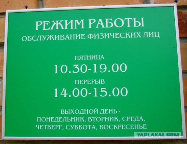 Забавные фотографии с конкурса