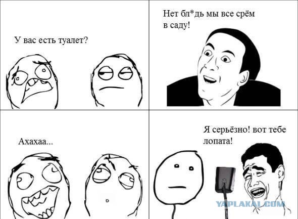Прикольные картинки из сети
