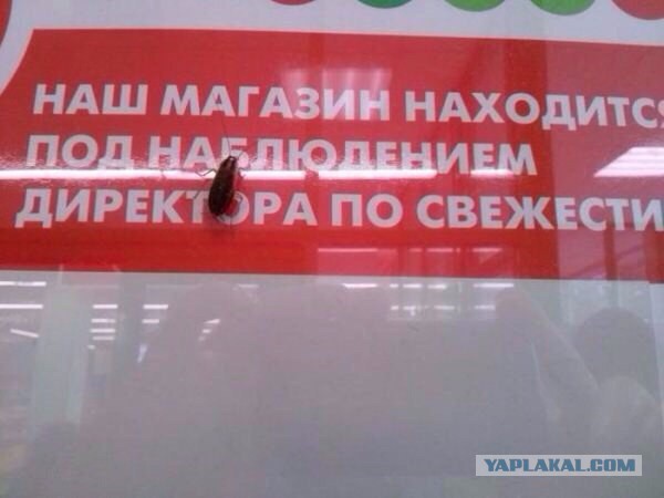 Картинки из ваших интернетов, 18+