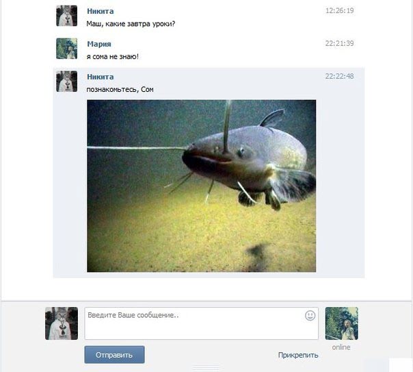 Грамотеи из интернетов умеют сочинять новые слова, даже не задумываясь