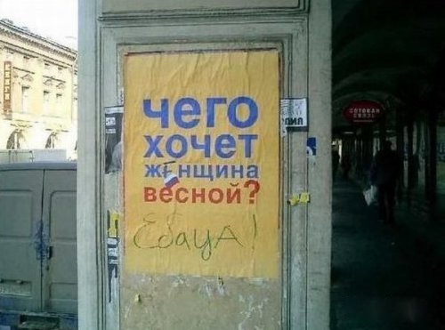 Смешные картинки с надписями