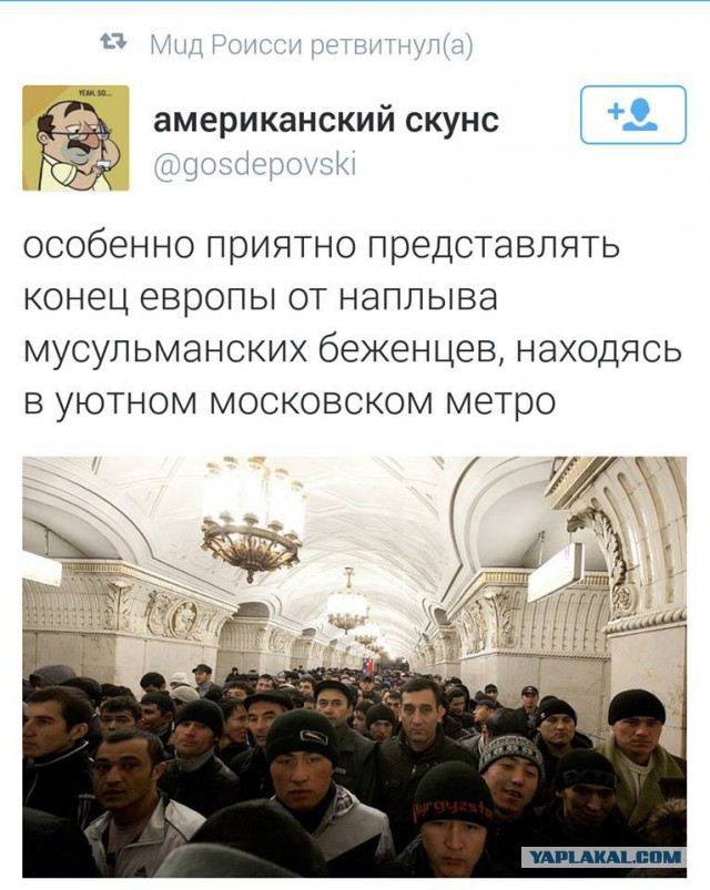 Европа - это сытый свинарник. Исповедь "свалившего" либерала