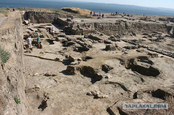 Пора вари... валить бетон! "Альты", шах и мат!