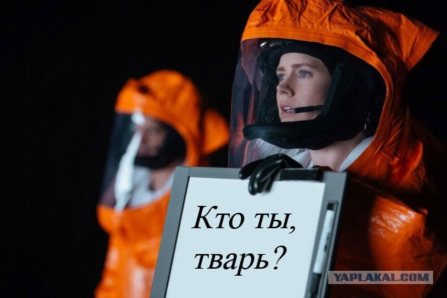 «Трамп — президент, улетайте»: что блогеры сказали бы пришельцам из фильма «Прибытие»