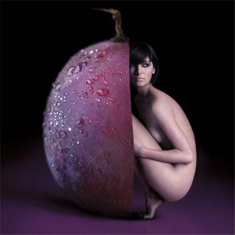 креатив Студии LSD s.r.l