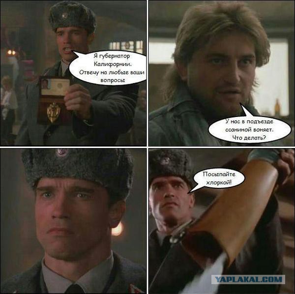 Субботняя деградация