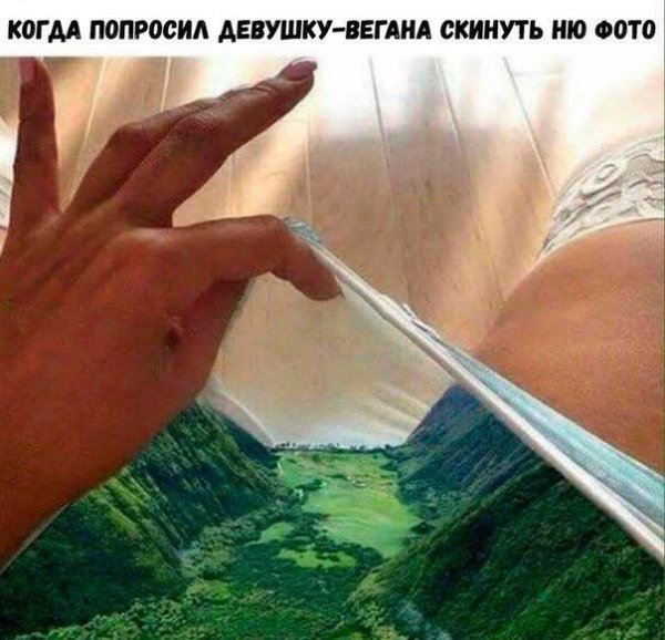 Приколы в стиле "регресс"