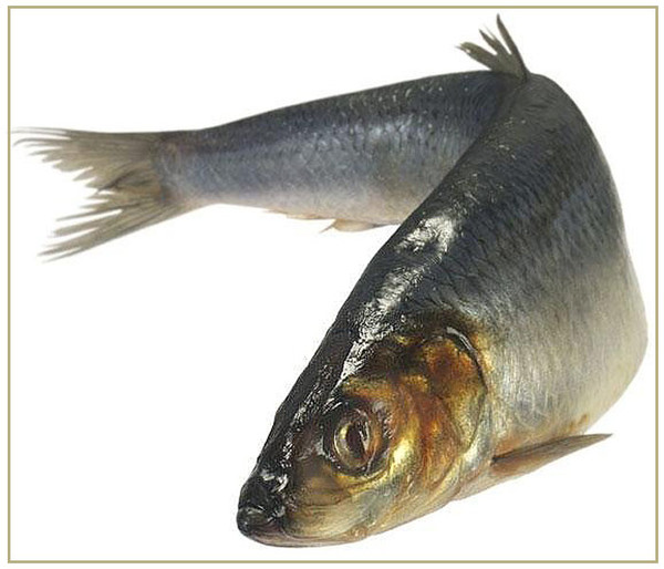 Запах женщины