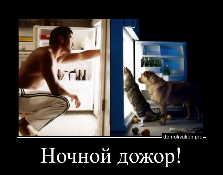 Ночной Дозор Прикольные Картинки