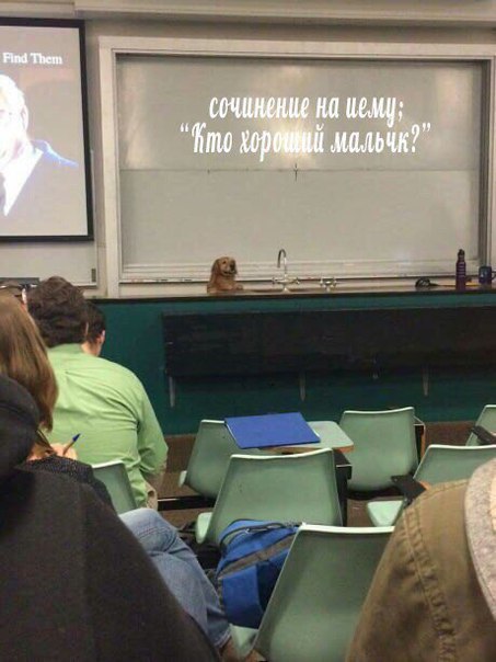 Нестандартный юмор