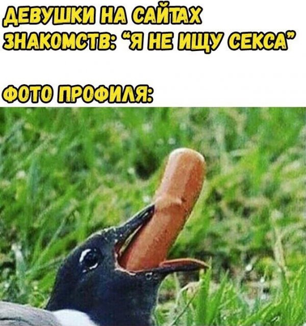 Нестандартный юмор