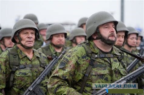 Как американцы представляют советских гвардейцев