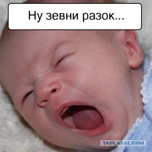 Спорим, зевнешь?))) (28 фото)