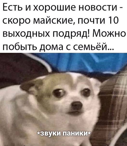 14233388.jpg